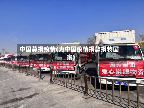 中国募捐疫情(为中国疫情捐款捐物国家)
