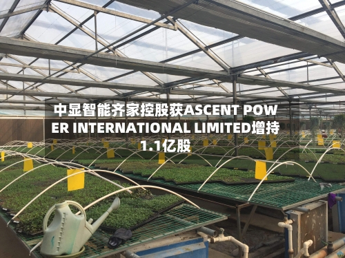 中显智能齐家控股获ASCENT POWER INTERNATIONAL LIMITED增持1.1亿股