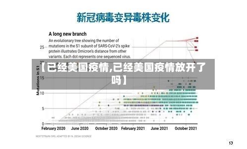 【已经美国疫情,已经美国疫情放开了吗】