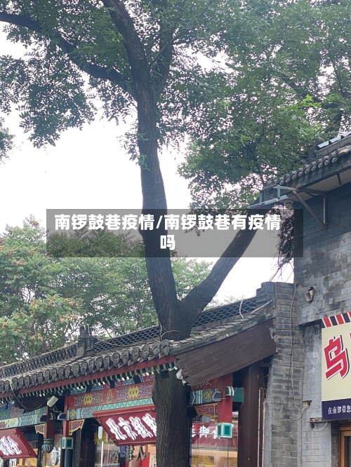 南锣鼓巷疫情/南锣鼓巷有疫情吗